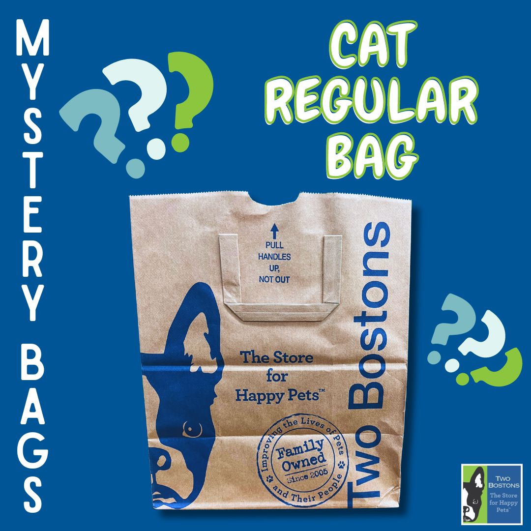 Mystery Bag - Cat Bundle - Regular Size