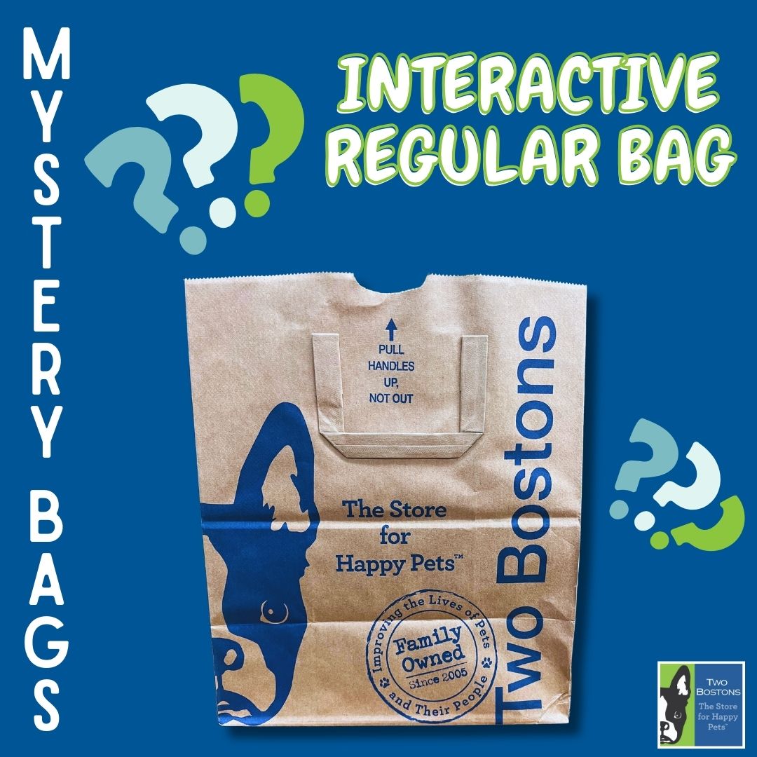 Mystery Bag - Interactive - Regular Size