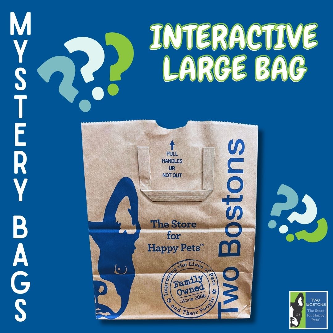 Mystery Bag - Interactive - Large Size