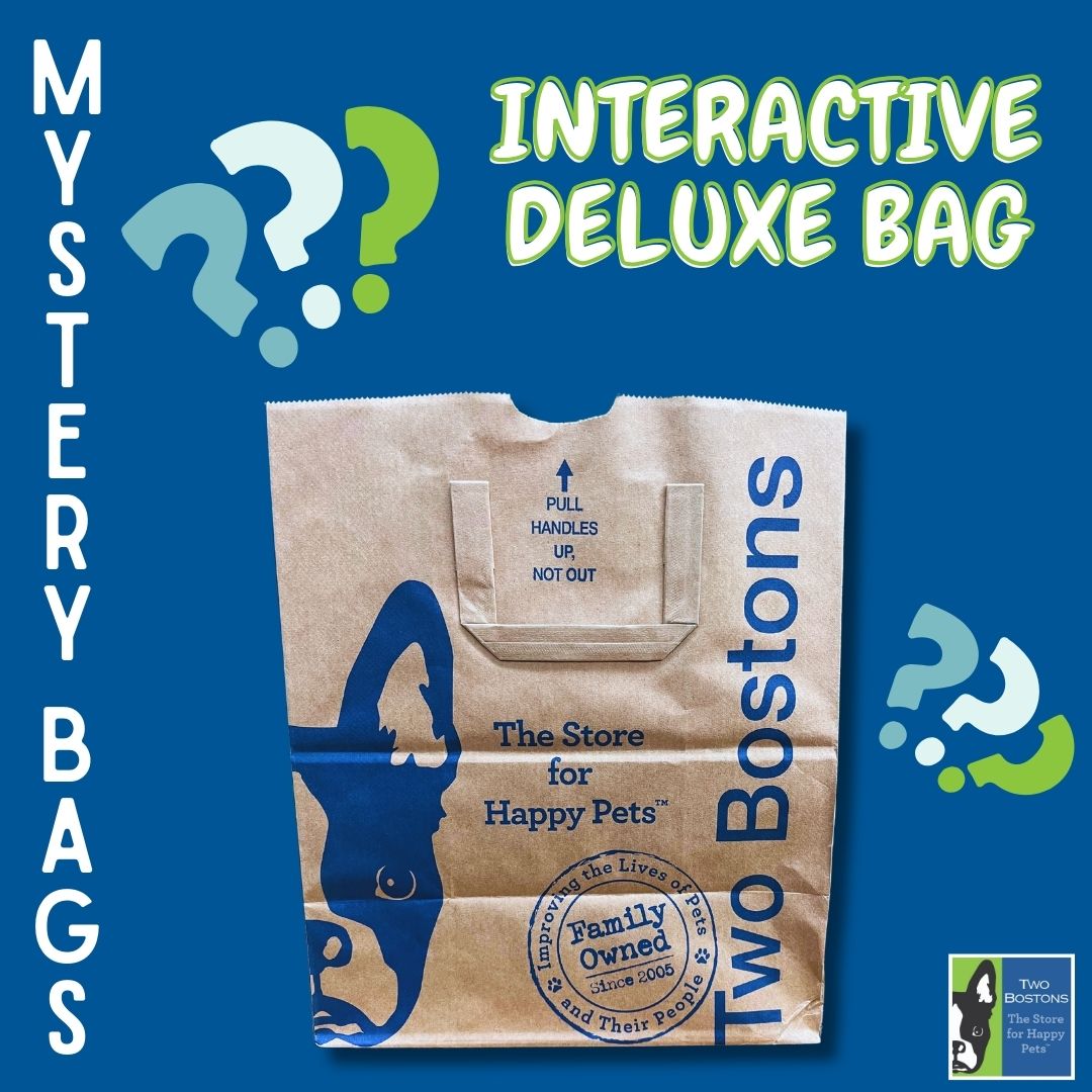 Mystery Bag - Interactive - Deluxe Size