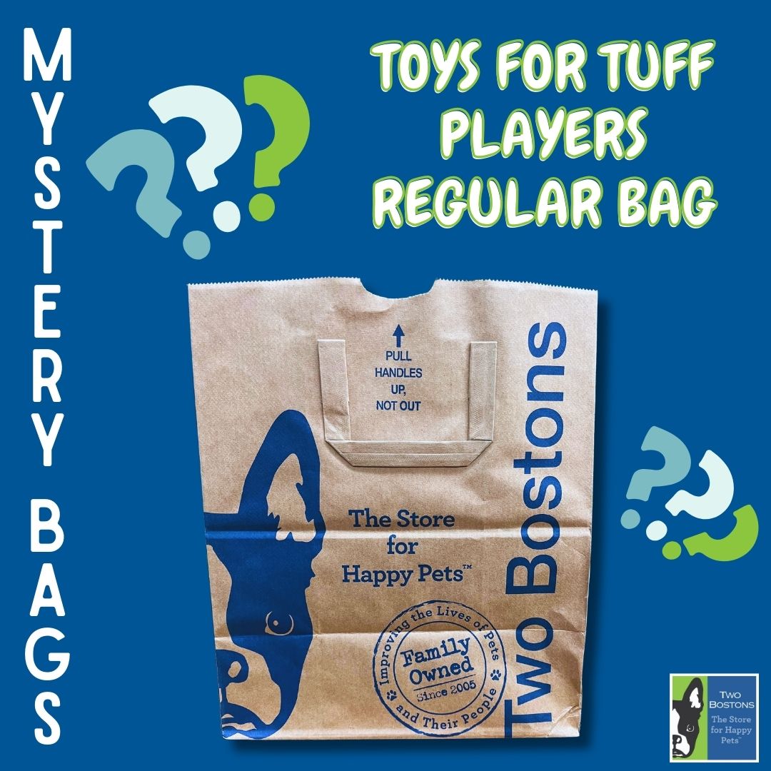 Mystery Bag - Toys for Tuff Players - Regular Size