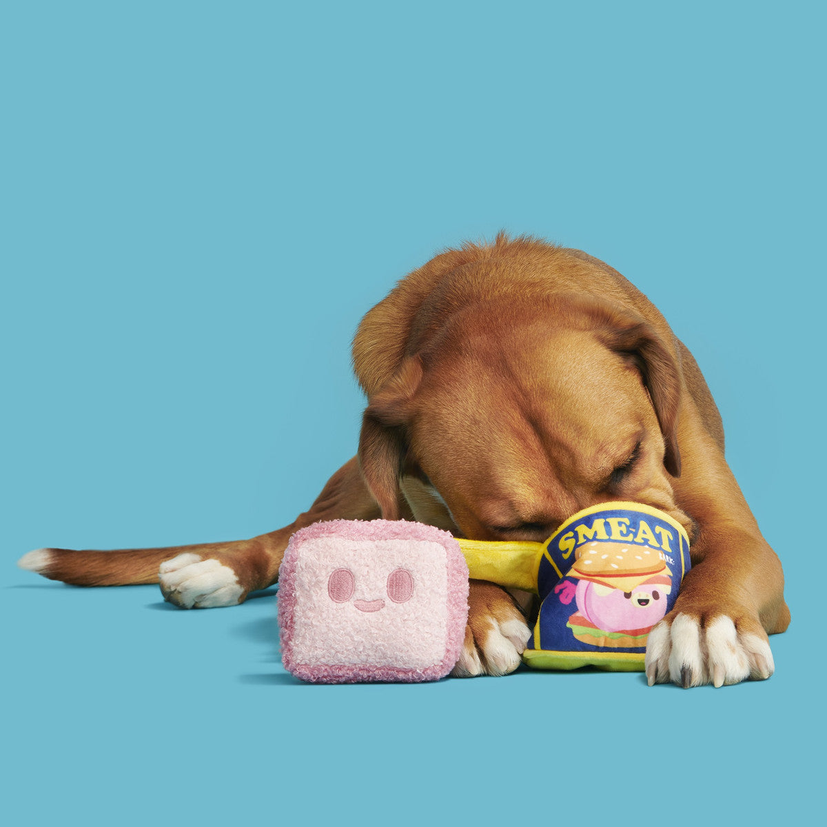Canned SMEAT Dog Toy