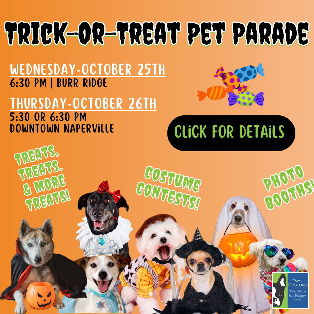 Halloween & Thanksgiving Pet Costume Parade & Contest Tickets, Sun