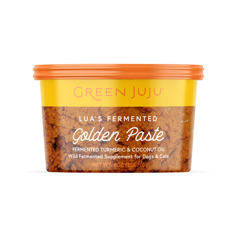 Lua's Fermented Golden Paste