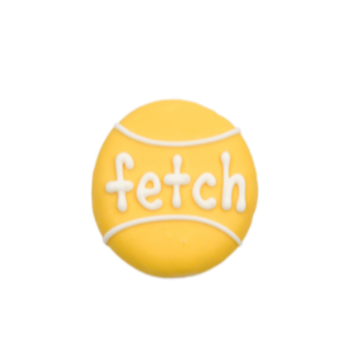 Fetch Cookie