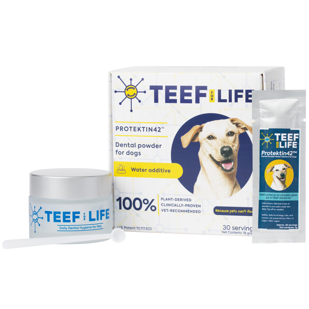 TEEF for Life - Protektin42 Dog Dental Kit