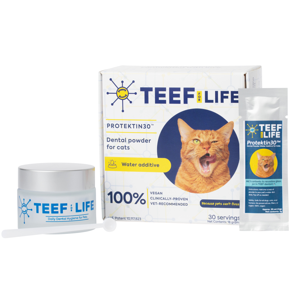 TEEF for Life - Protektin30 Cat Dental Kit