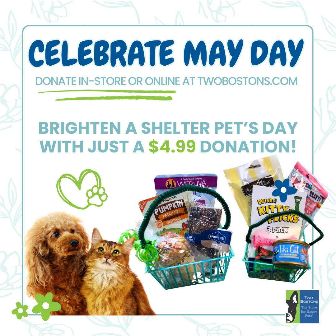 May Day Basket Shelter Donation