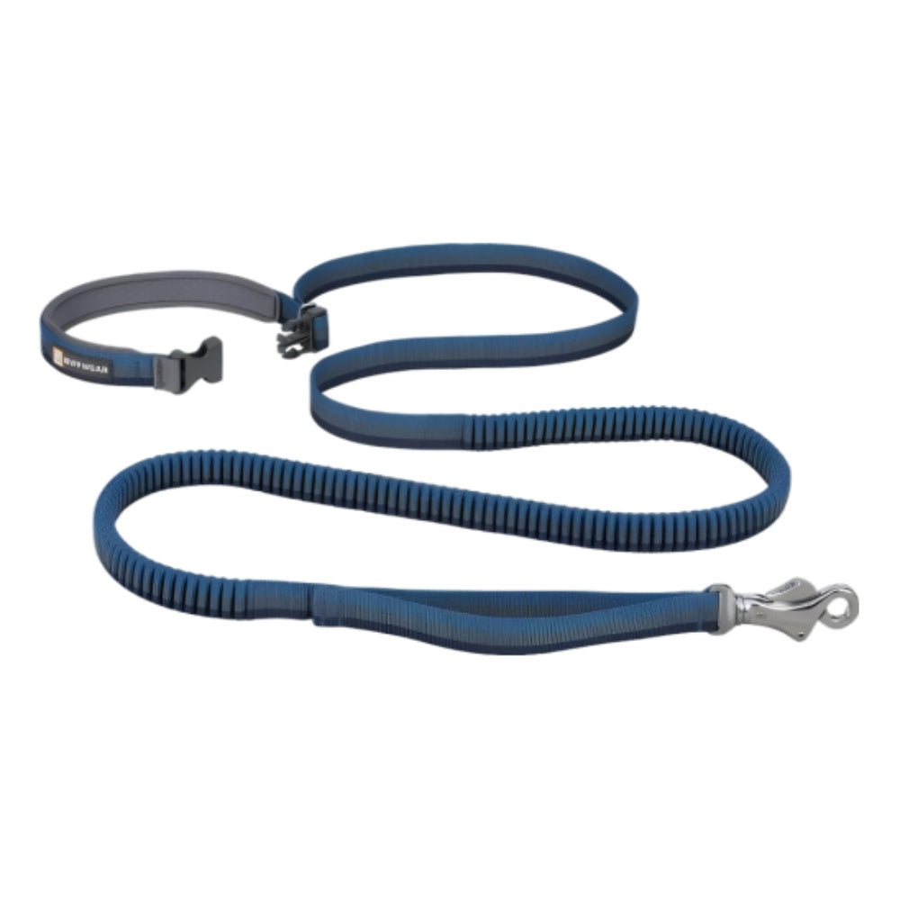 Roamer Leash