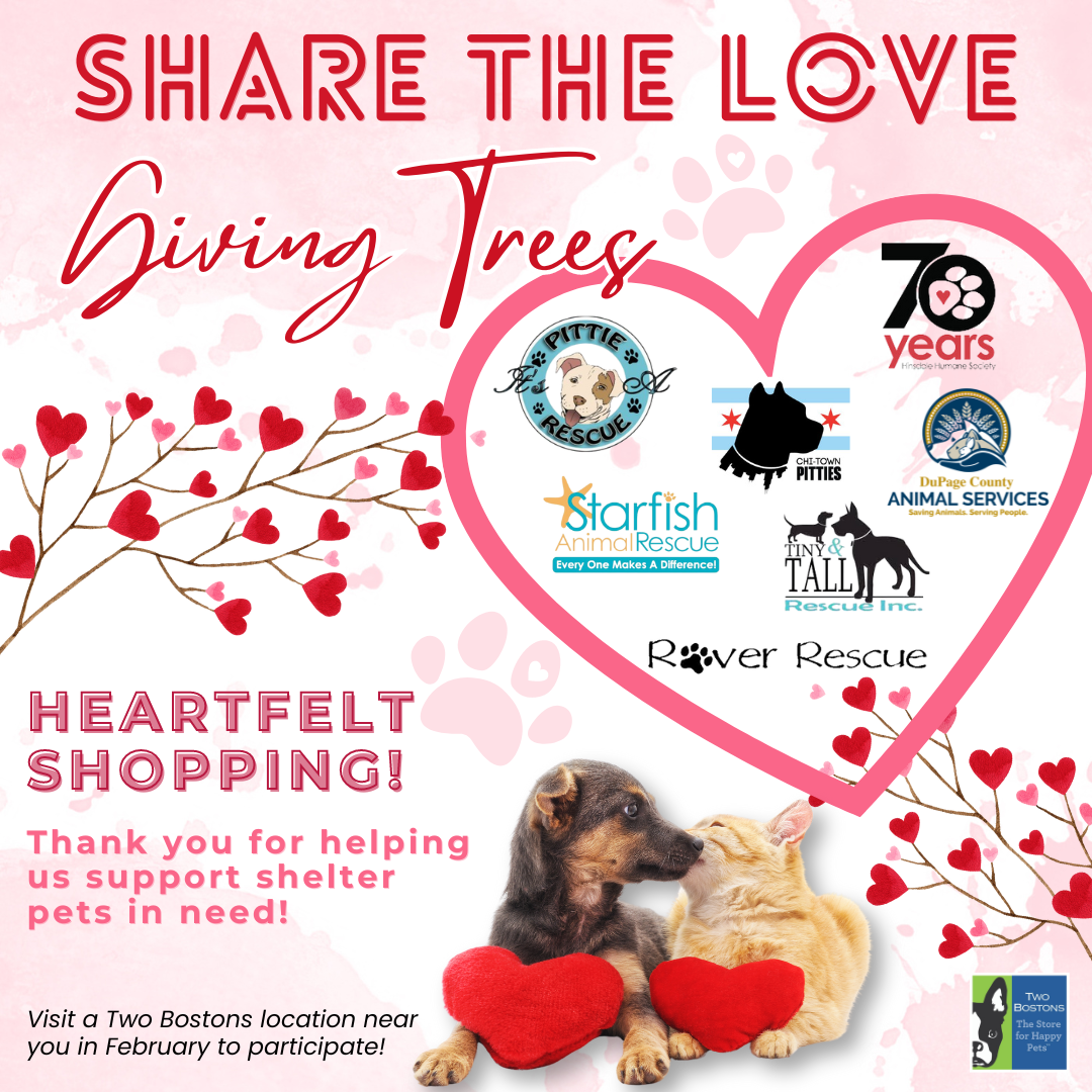 Share the Love Giving Tree