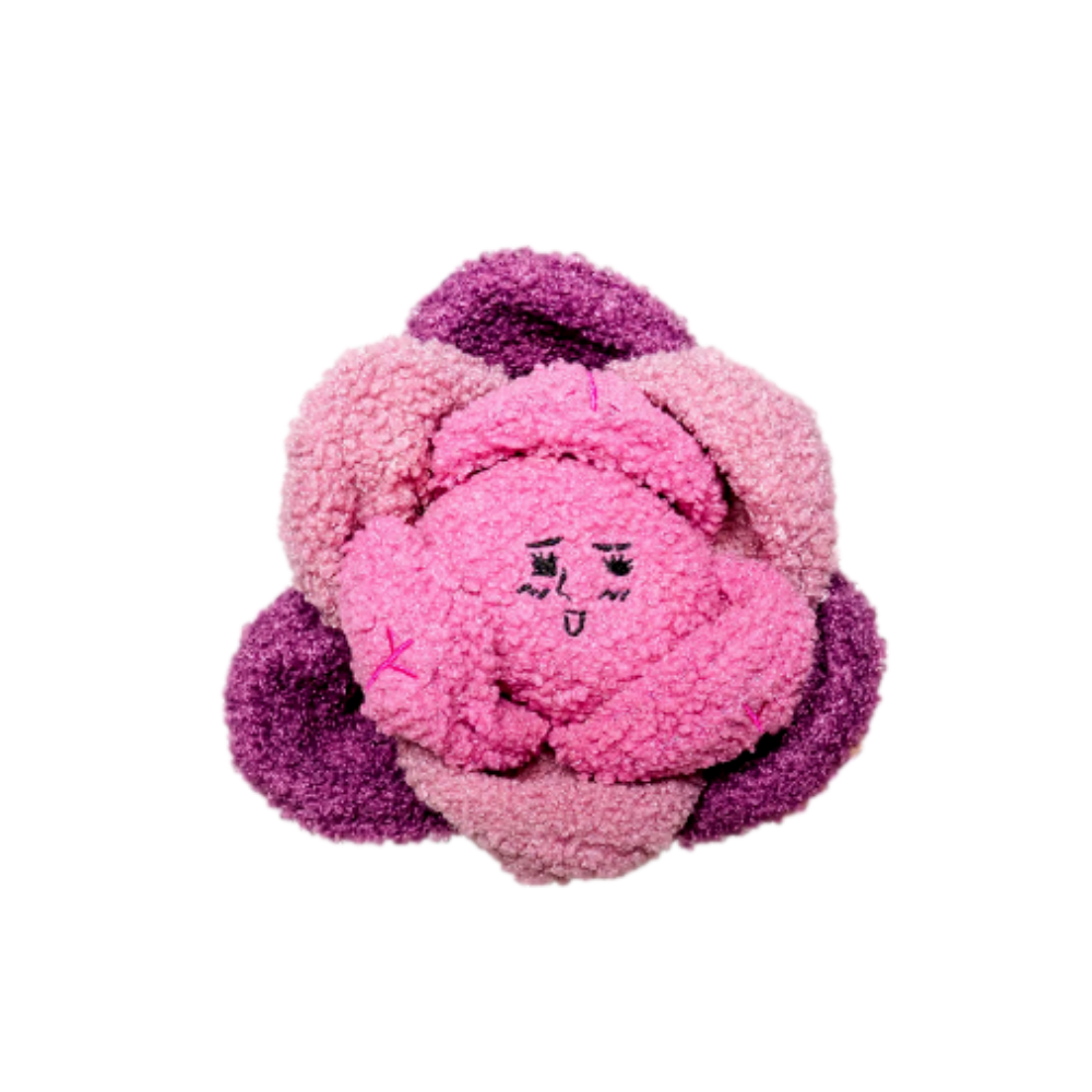 Red Cabbage Nose Work Toy