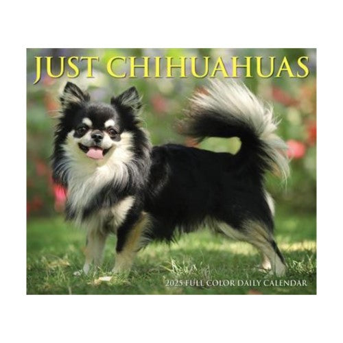 Chihuahuas 2025 Box Calendar