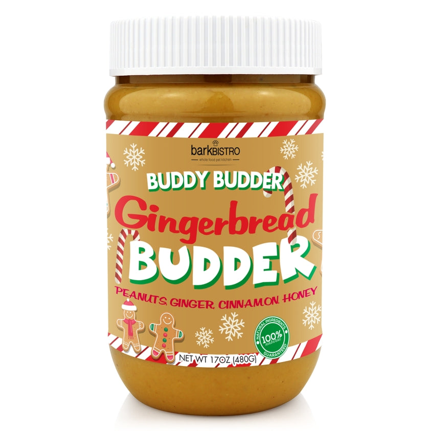 Gingerbread Buddy Budder
