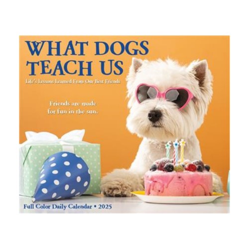 What Dogs Teach Us 2025 Box Calendar