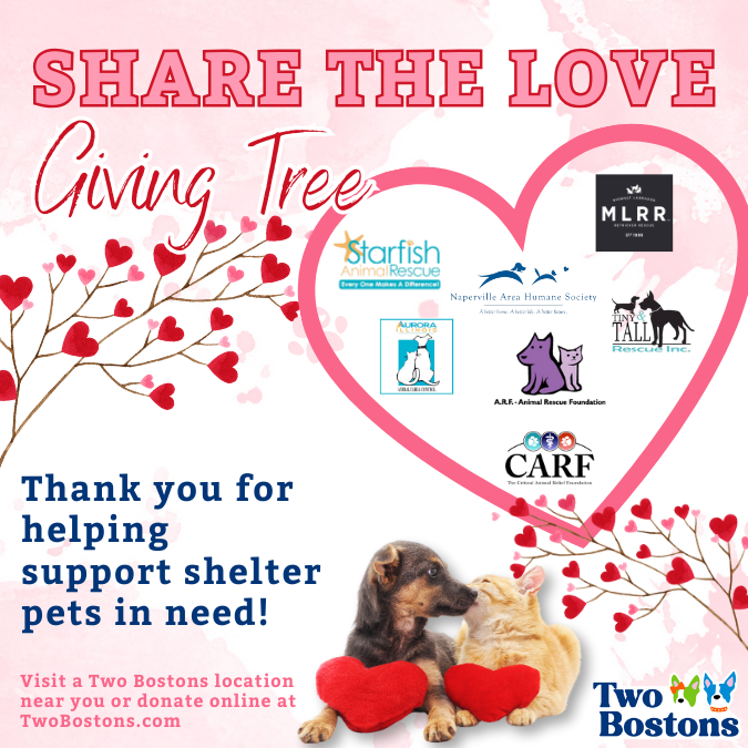 Share the Love Giving Tree