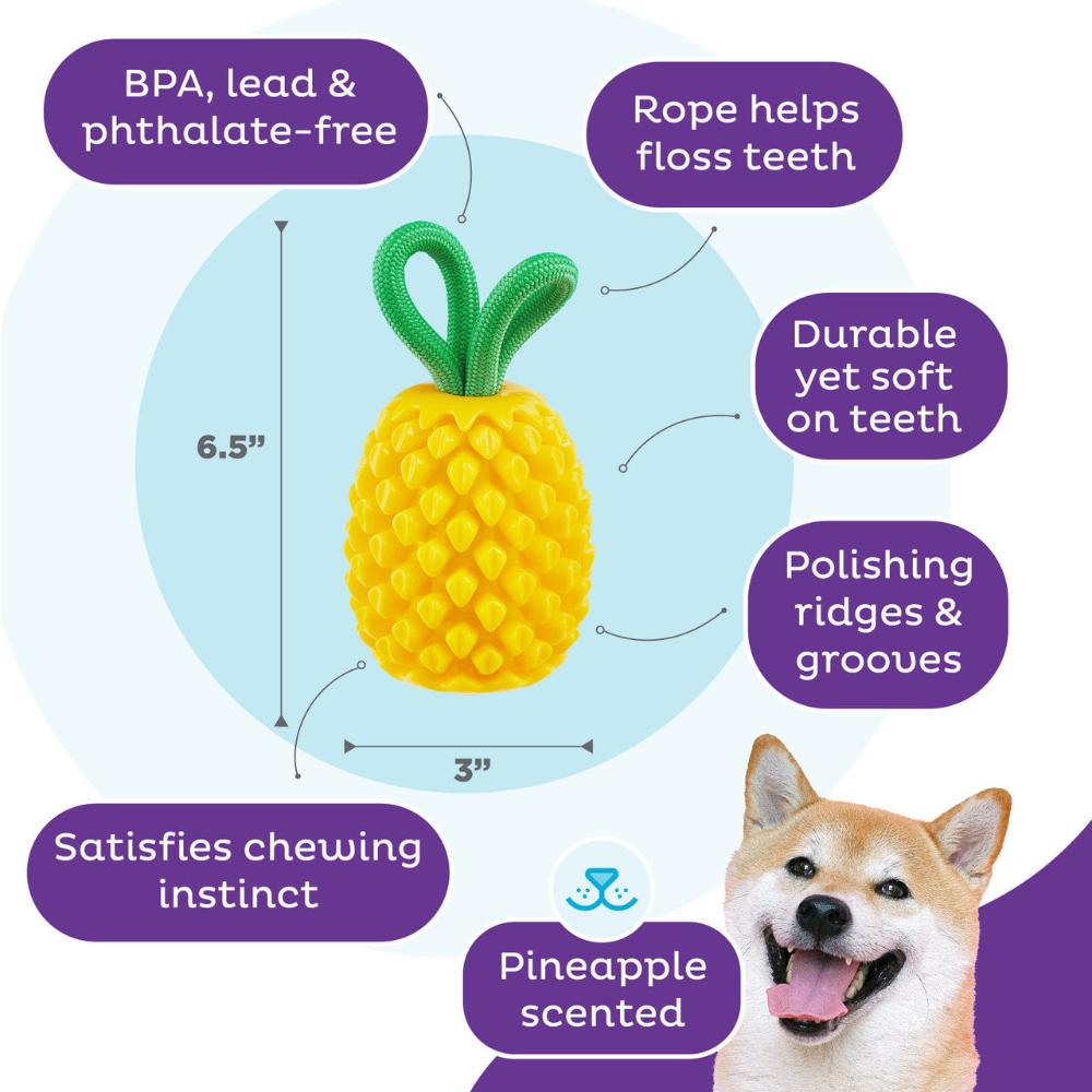 Pineapple Dental Chew and Treat Stuffer