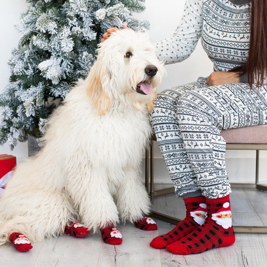 Buffalo Check Santa Human & Dog Sock Set