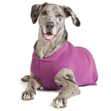 Gold Paw Series Eggplant Stretch Fleece Pullover
