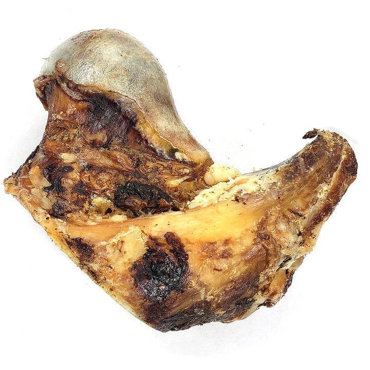 Large Bison Knuckle Bone