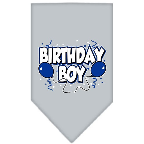 Mirage Pet Products Grey Birthday Boy Bandana
