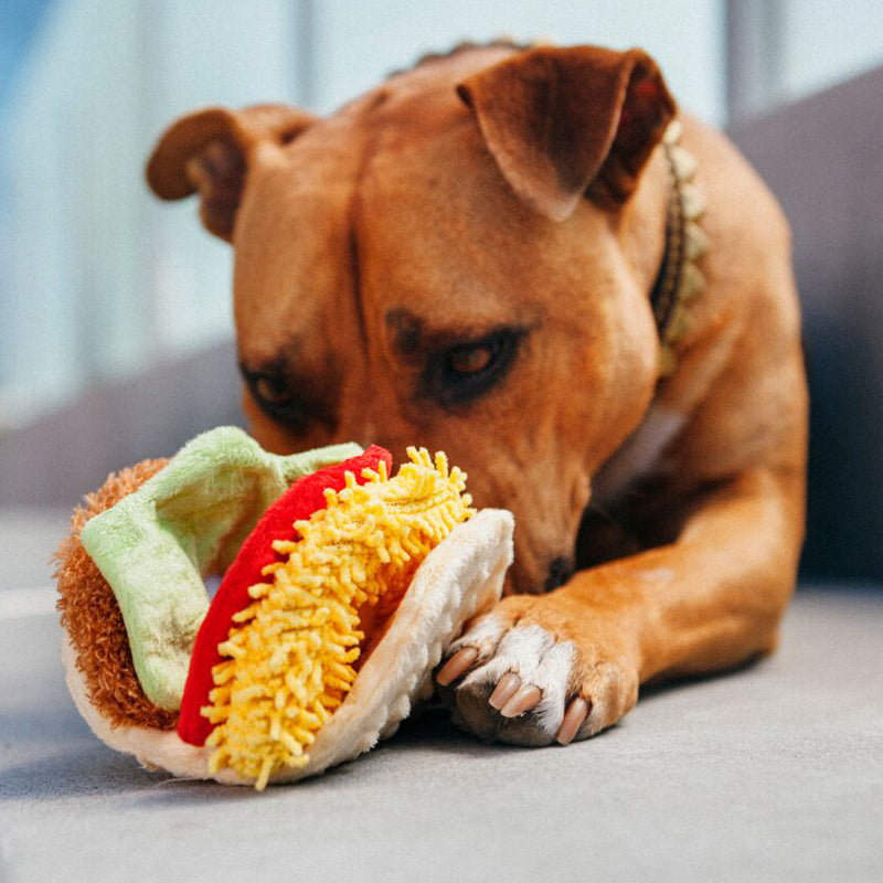 checked International Classic Tail Waggin' Taco Image 5
