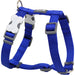 Red Dingo Classic Dark Blue Dog Harness