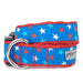 The Worthy Dog Patriotic Stars Dog Collar