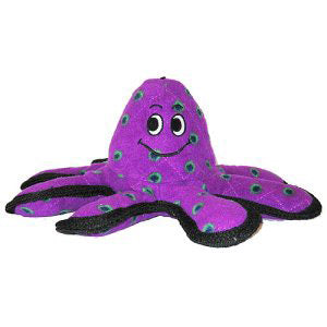 Lil Oscar The Octopus Two Bostons