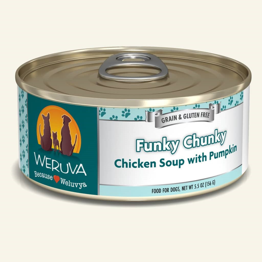checked Funky Chunky Chicken Soup Image 2