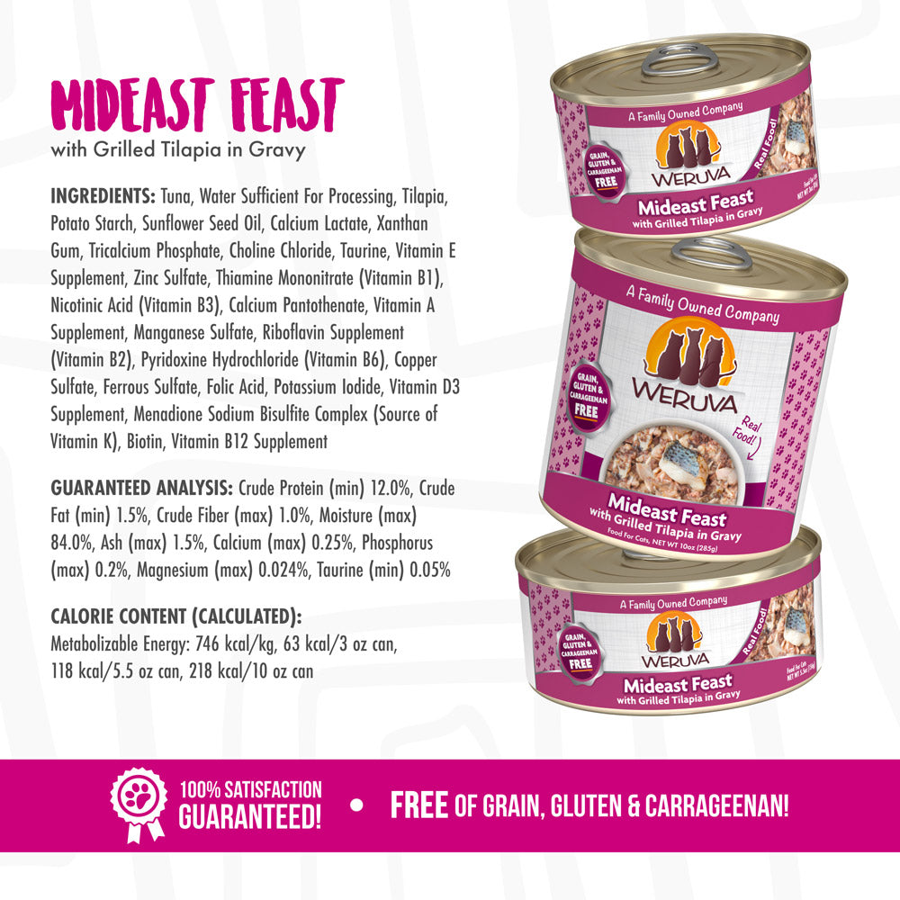 checked Mideast Feast Image 2