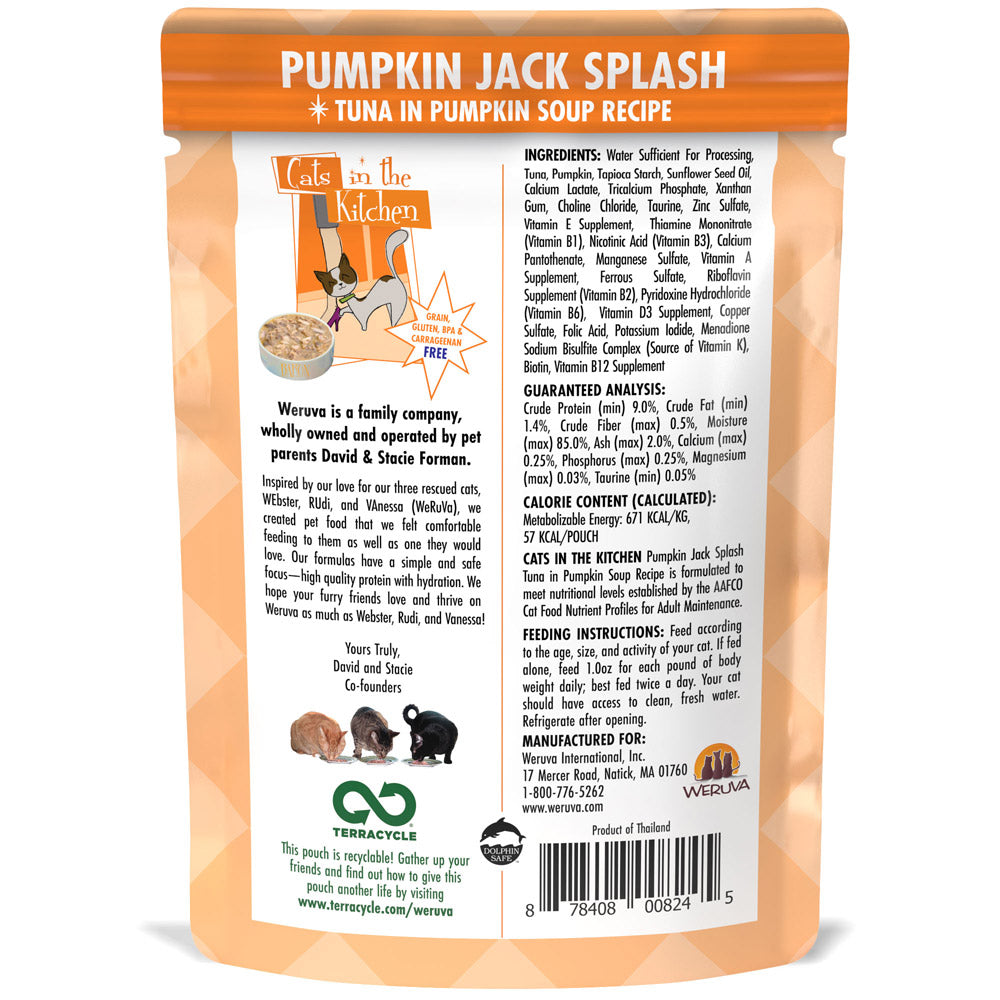 checked Pumpkin Jack Splash Image 2