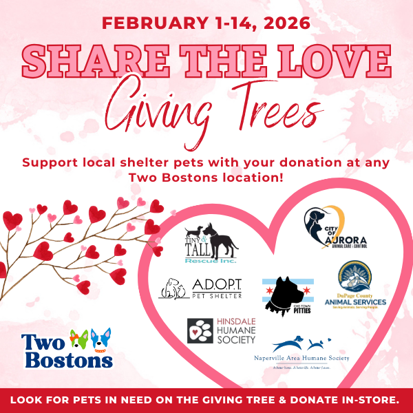 Valentine’s Day Giving Trees at Two Bostons