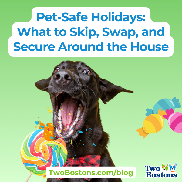 Pet-Safe Holidays: What to Skip, Swap, and Secure Around the House