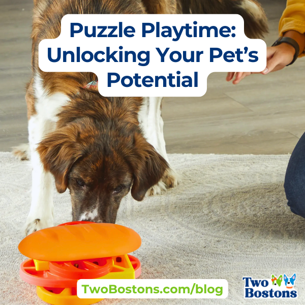 Puzzle Playtime: Unlocking Your Pet’s Potential