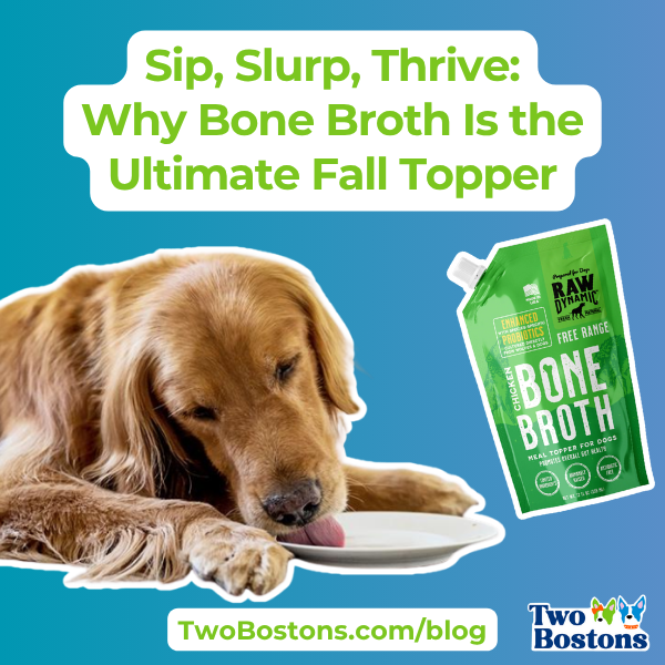 Sip, Slurp, Thrive: Why Bone Broth Is the Ultimate Fall Topper