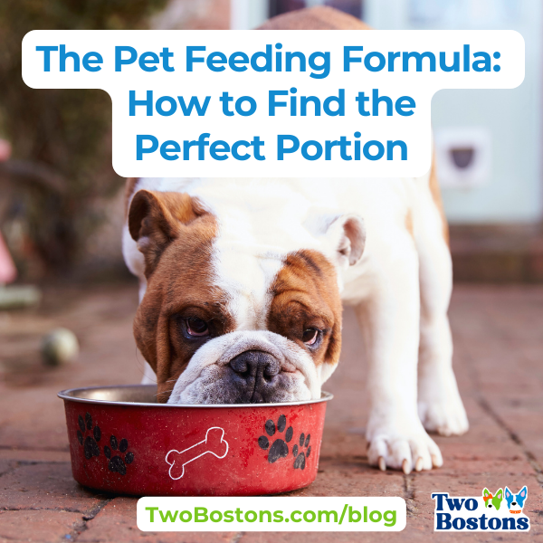 The Pet Feeding Formula: How to Find the Perfect Portion