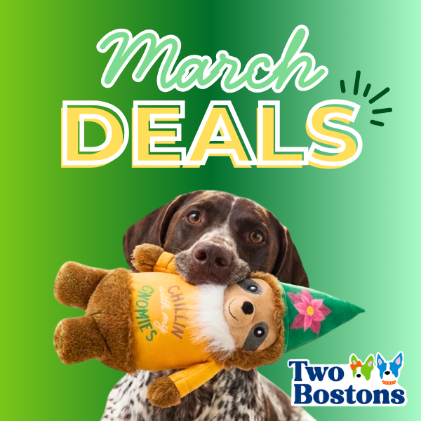 March Deals at Two Bostons