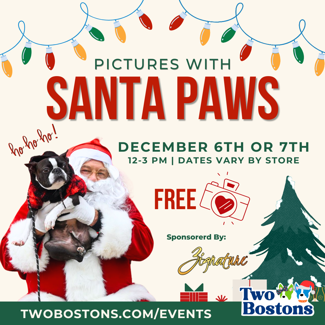Pictures With Santa Paws