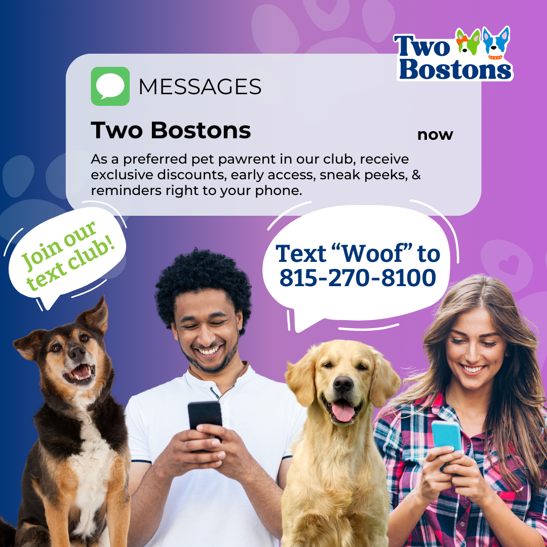 Two Bostons Text Club