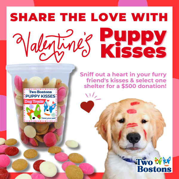 Valentine's Day Puppy Kisses Hidden Heart