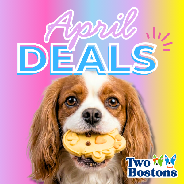 April Deals at Two Bostons