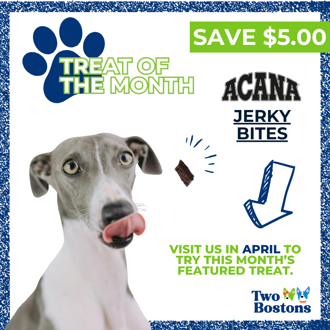 April Treat of the Month at Two Bostons