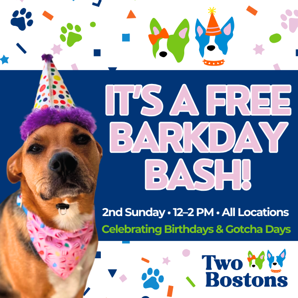 FREE Monthly Barkday Bash at Two Bostons