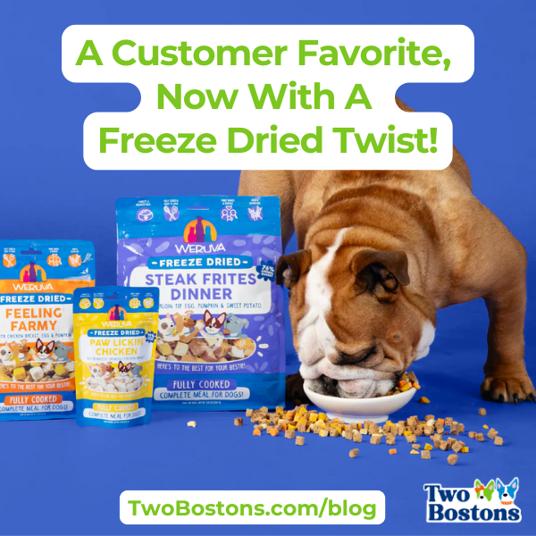 A Customer Favorite, Now With A Freeze Dried Twist!