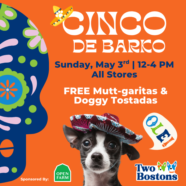 Cinco de Barko at Two Bostons
