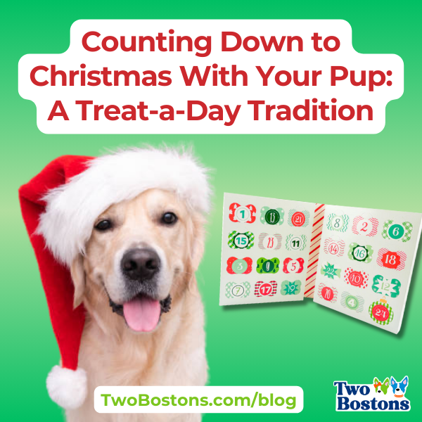 Counting Down to Christmas With Your Pup: A Treat-a-Day Tradition