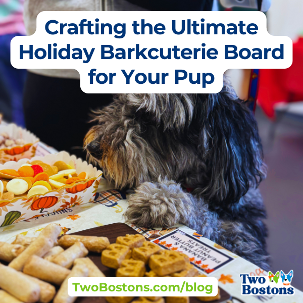 Crafting the Ultimate Holiday Barkcuterie Board for Your Pup