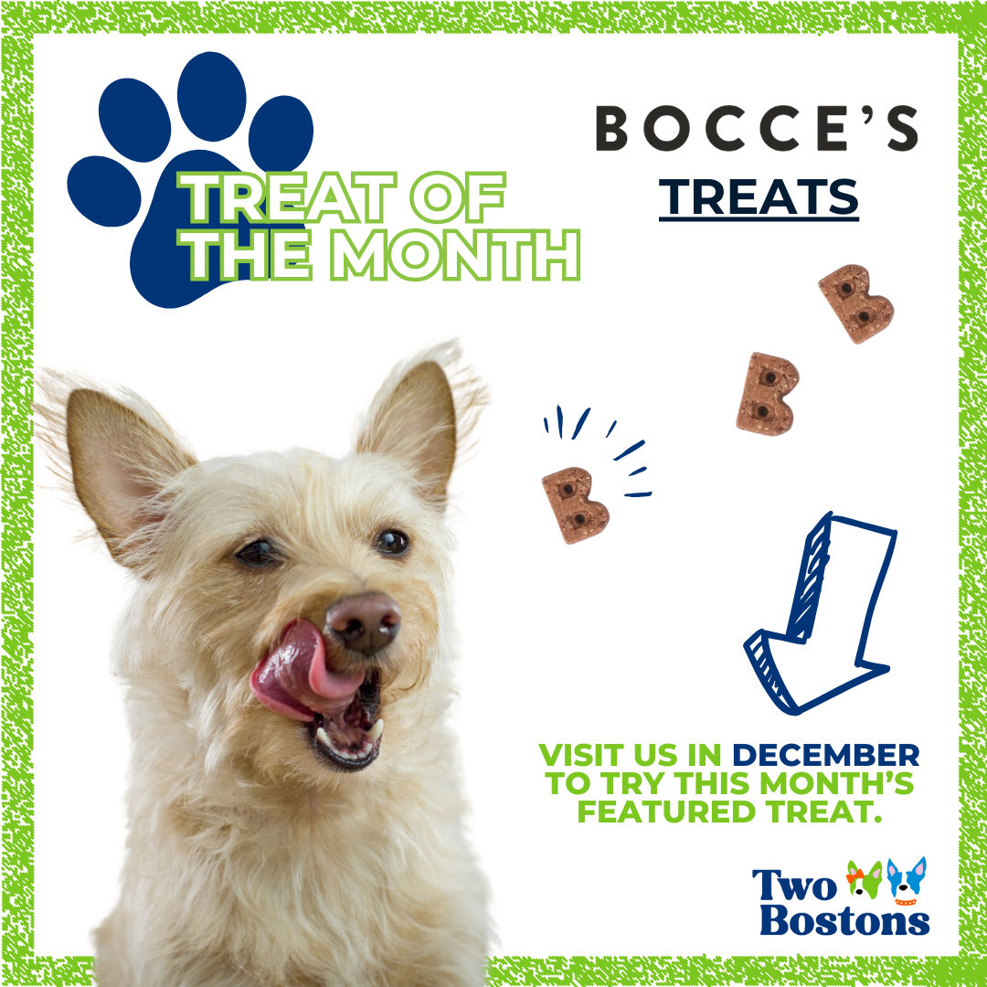 December Treat of the Month