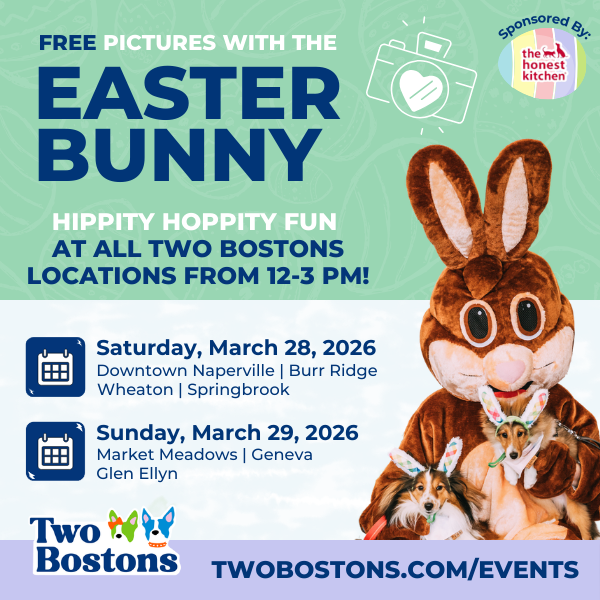 FREE Pictures with the Easter Bunny at Two Bostons