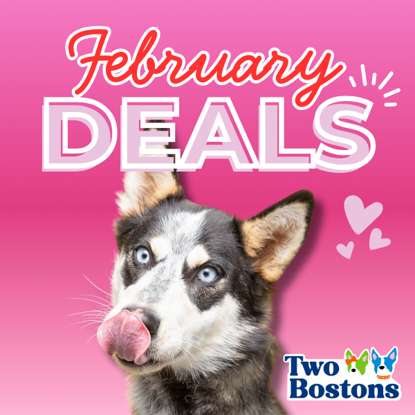February Two Bostons Deals